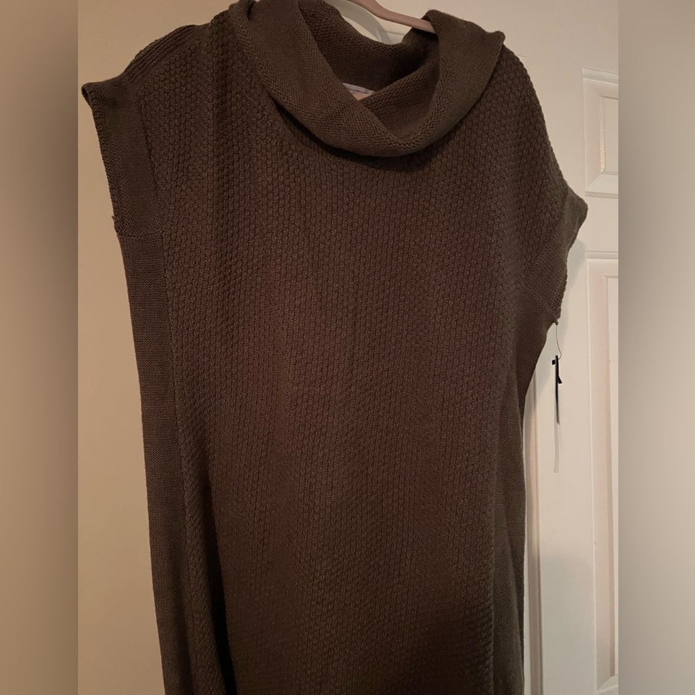 Brown knit turtleneck dress